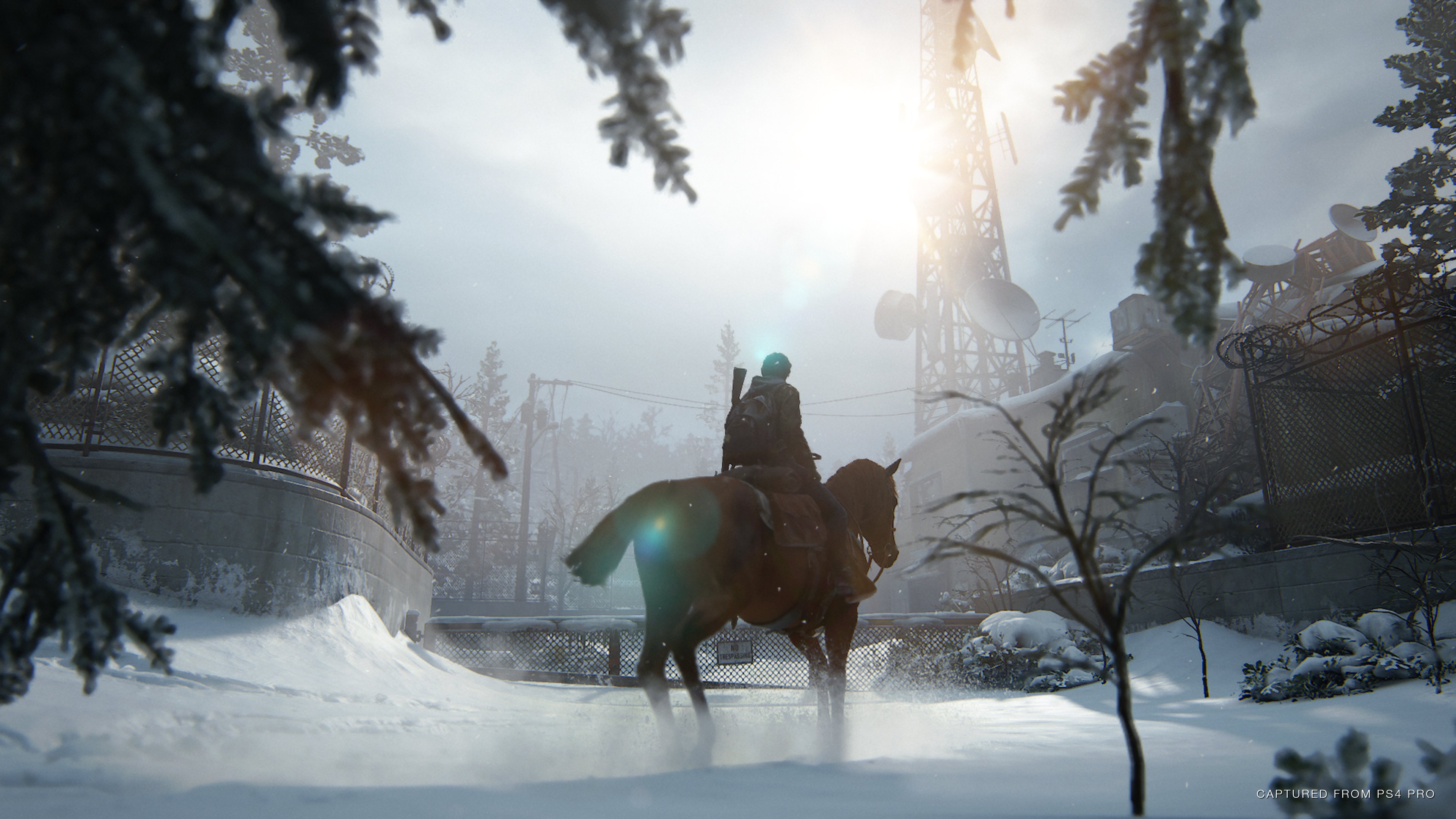 The Last of Us: Parte II - Imagen 29